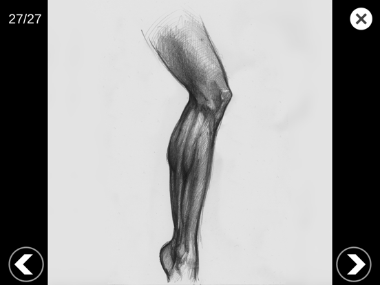 3D Anatomy for the Artist iPad screenshot 8 - Graphics & Design app