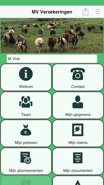 MV Verzekeringen