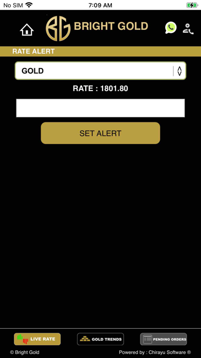 Bright Gold Screenshot