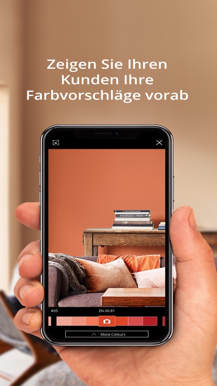 Sikkens Expert CH