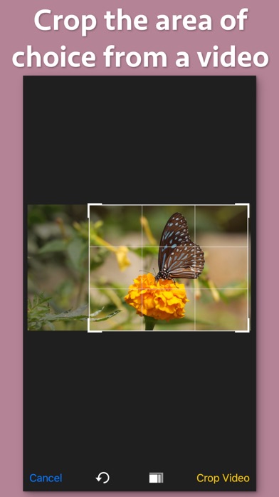 Screenshot #3 pour Video Cropper Premium