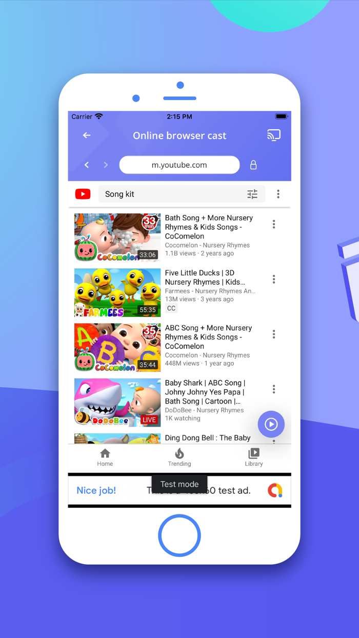 Web Cast Video  Browser to TV