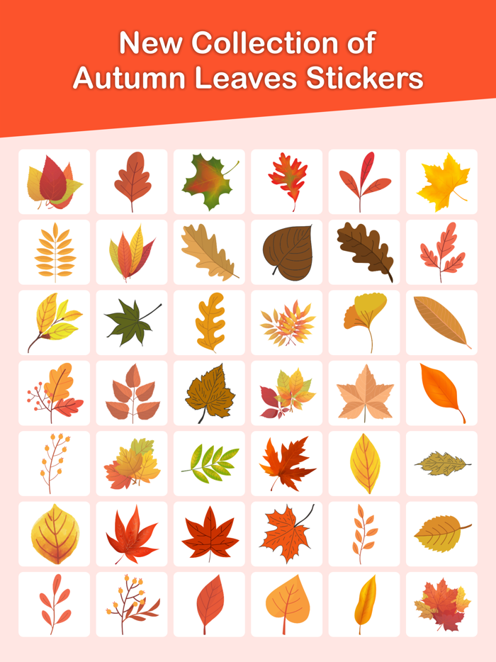 Autumn Leaves Emojis