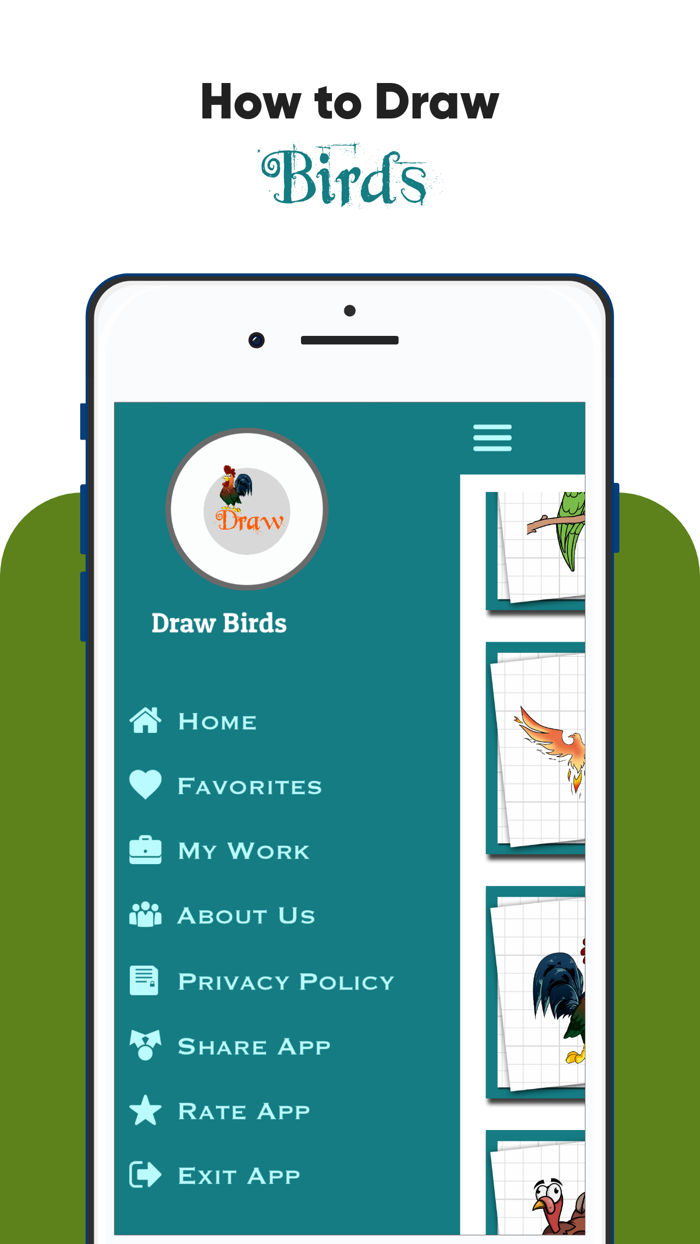 How to draw Birds Step by step