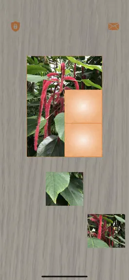 Game screenshot Plants: Tiling Puzzles apk
