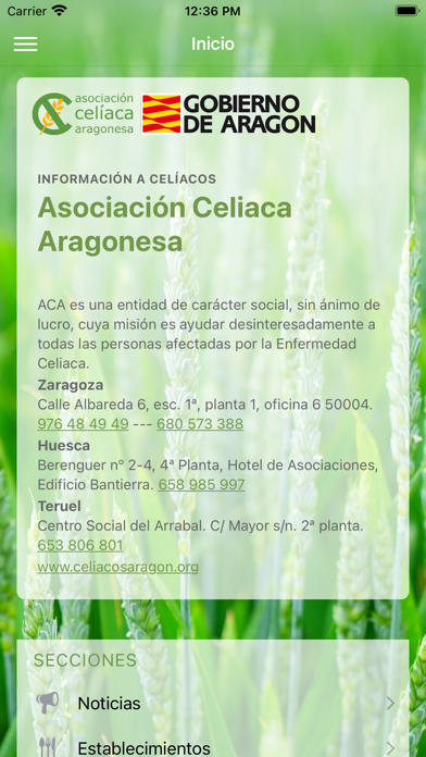 Asociación Celíaca Aragonesa Screenshot