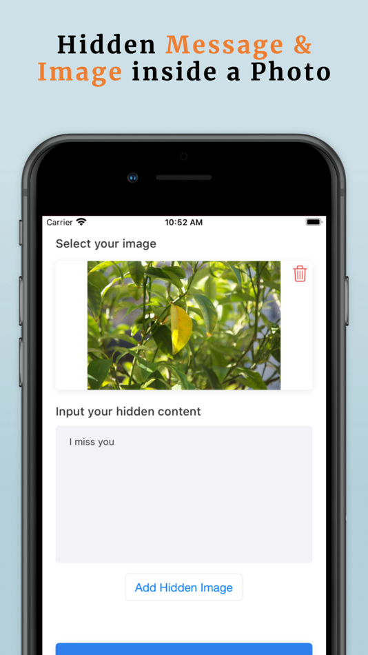 Steganography: Hidden Message - 1.1 - (iOS)