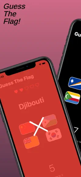 Game screenshot Guess The Flag - Flag Quiz mod apk
