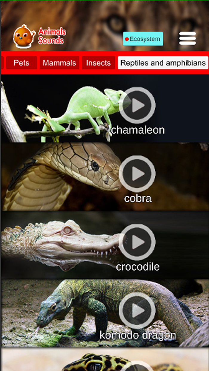 Animals Sounds Pro