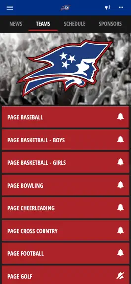 Game screenshot Page Patriots hack