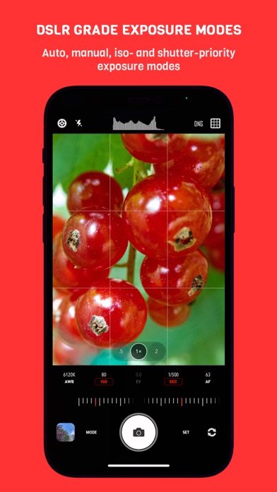 CameraPixels PRO Screenshot