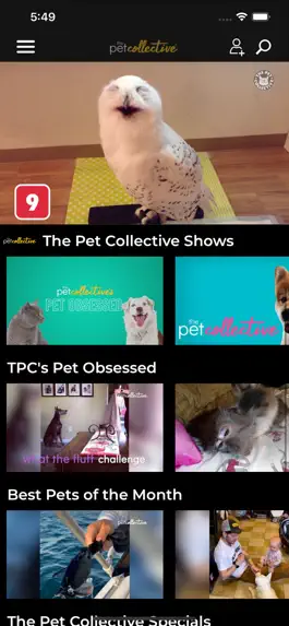 Game screenshot The Pet Collective apk