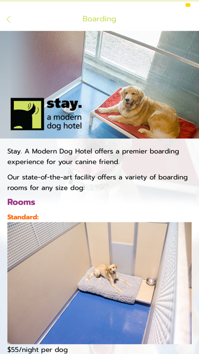 stay. a modern dog hotel Screenshot