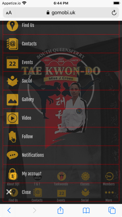 SQ Tae Kwon-do Screenshot