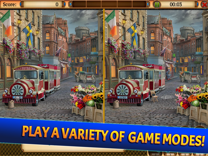 Mystery Society 3 Hidden Case