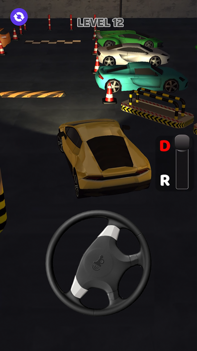 Driving Car 3D Screenshot