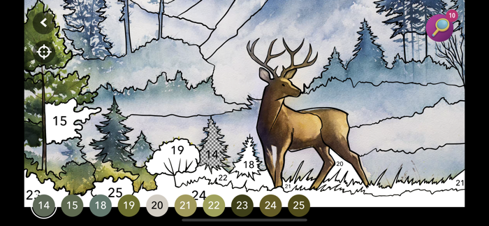 Home Design Challenge