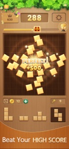 Block puzzle Casual game woody screenshot #5 for iPhone
