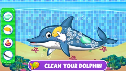 Dolphin Water Rush Screenshot