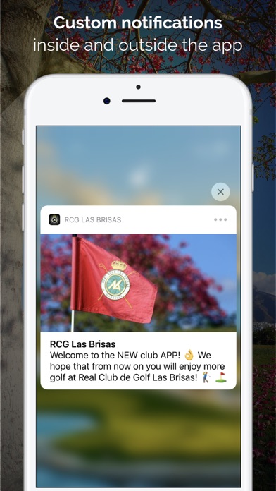 Real Club de Golf Las Brisas Screenshot