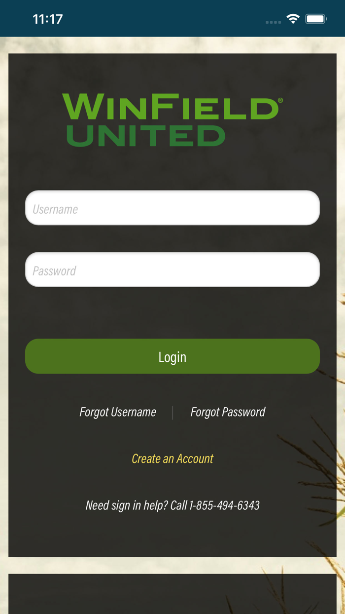 Winfield United Evolve