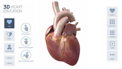 3D Heart Education Screenshot