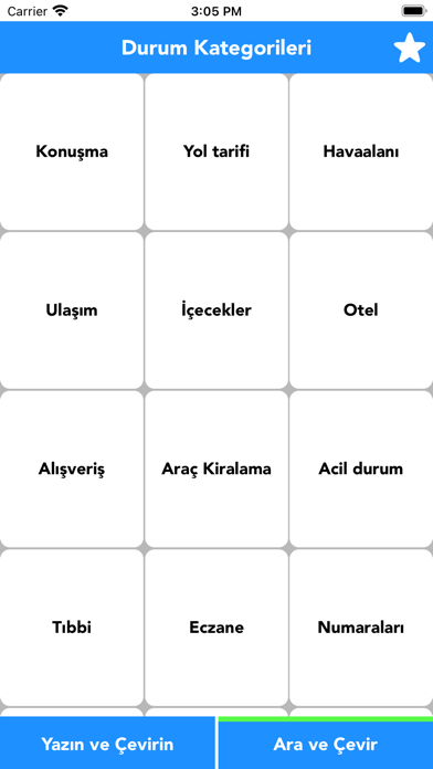 Turkish to English Translator Screenshot