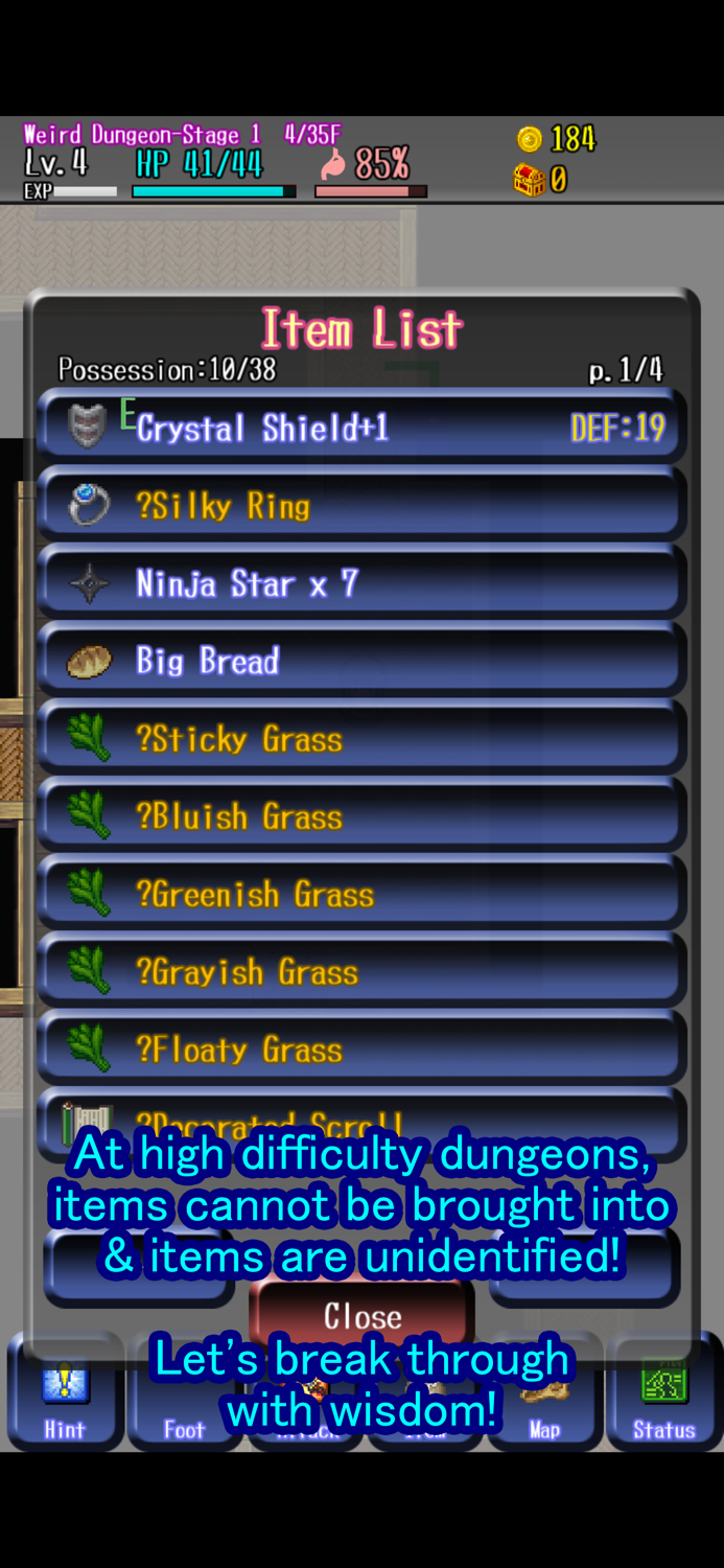 Eternal Rogue Dungeon RPG