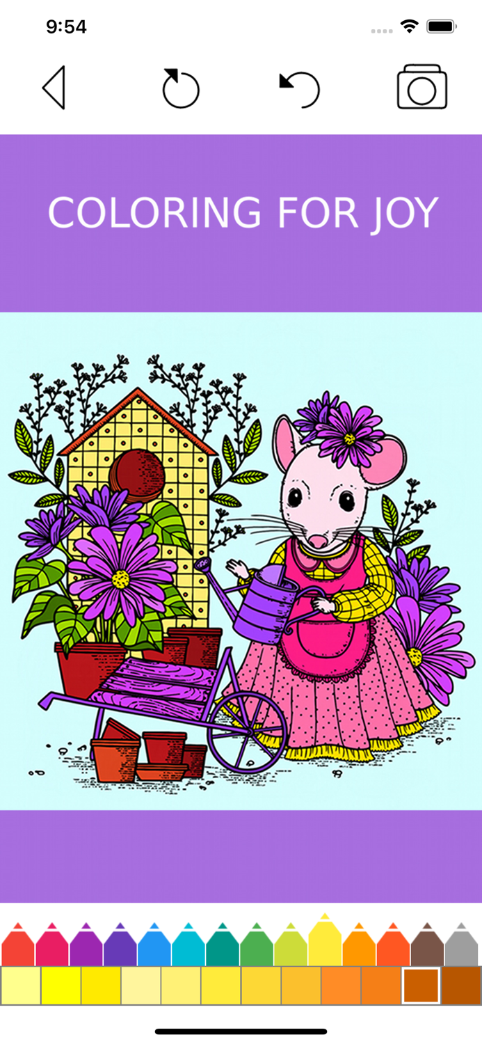 Animal Coloring Book -