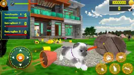 Game screenshot My Cat Simulator life Game apk