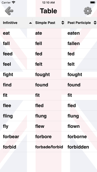 Irregular Verbs of English Screenshot