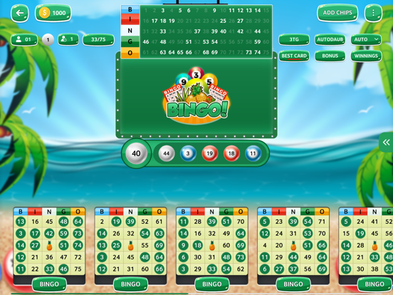 Screenshot #6 pour BingoEverywhere