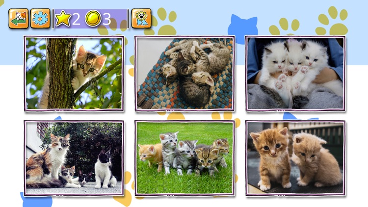 Jigsaw Puzzle Cats & Kitten screenshot-4