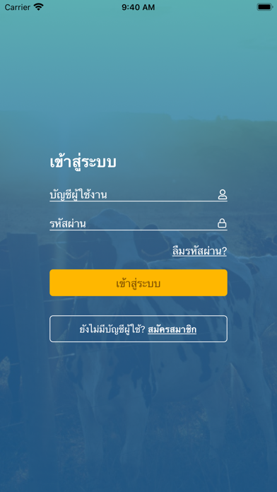 DLD e-SmartSur Screenshot