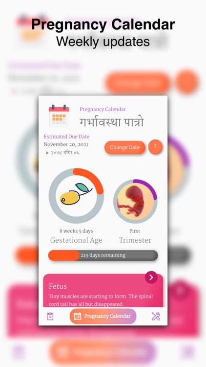 Safe Pregnancy & Birth - Nepal