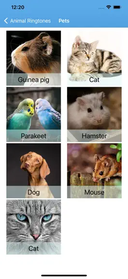 Game screenshot Funny Animal Ringtones Sounds hack