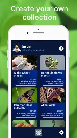 Game screenshot Insect Identification Bug Bite hack