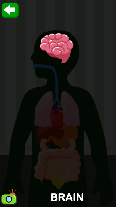 Learn the Body Parts Screenshot