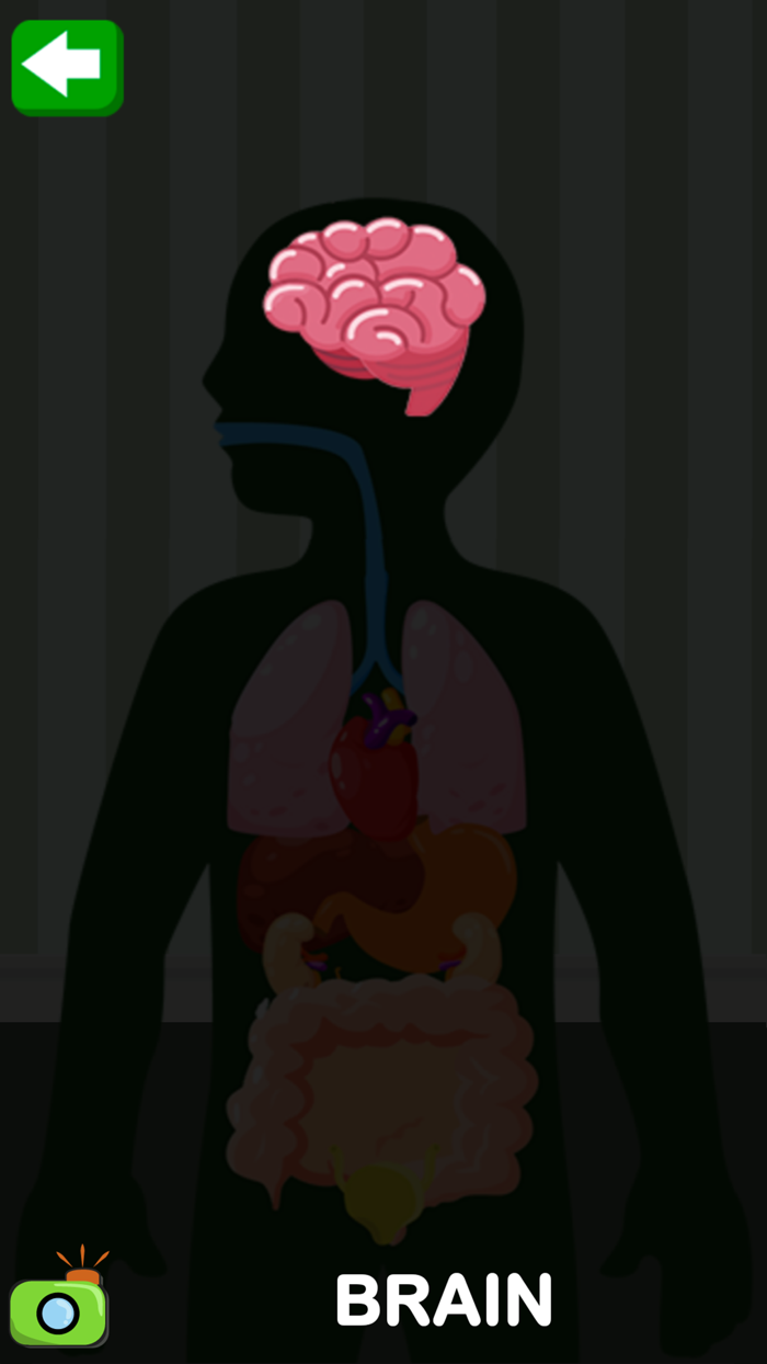 Learn the Body Parts