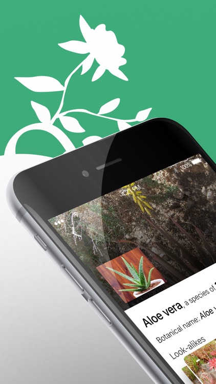 Plant Identifier - WhatPlant