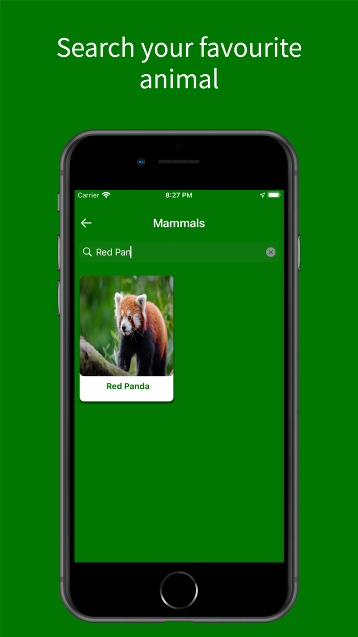 Virtual Jungle Safari