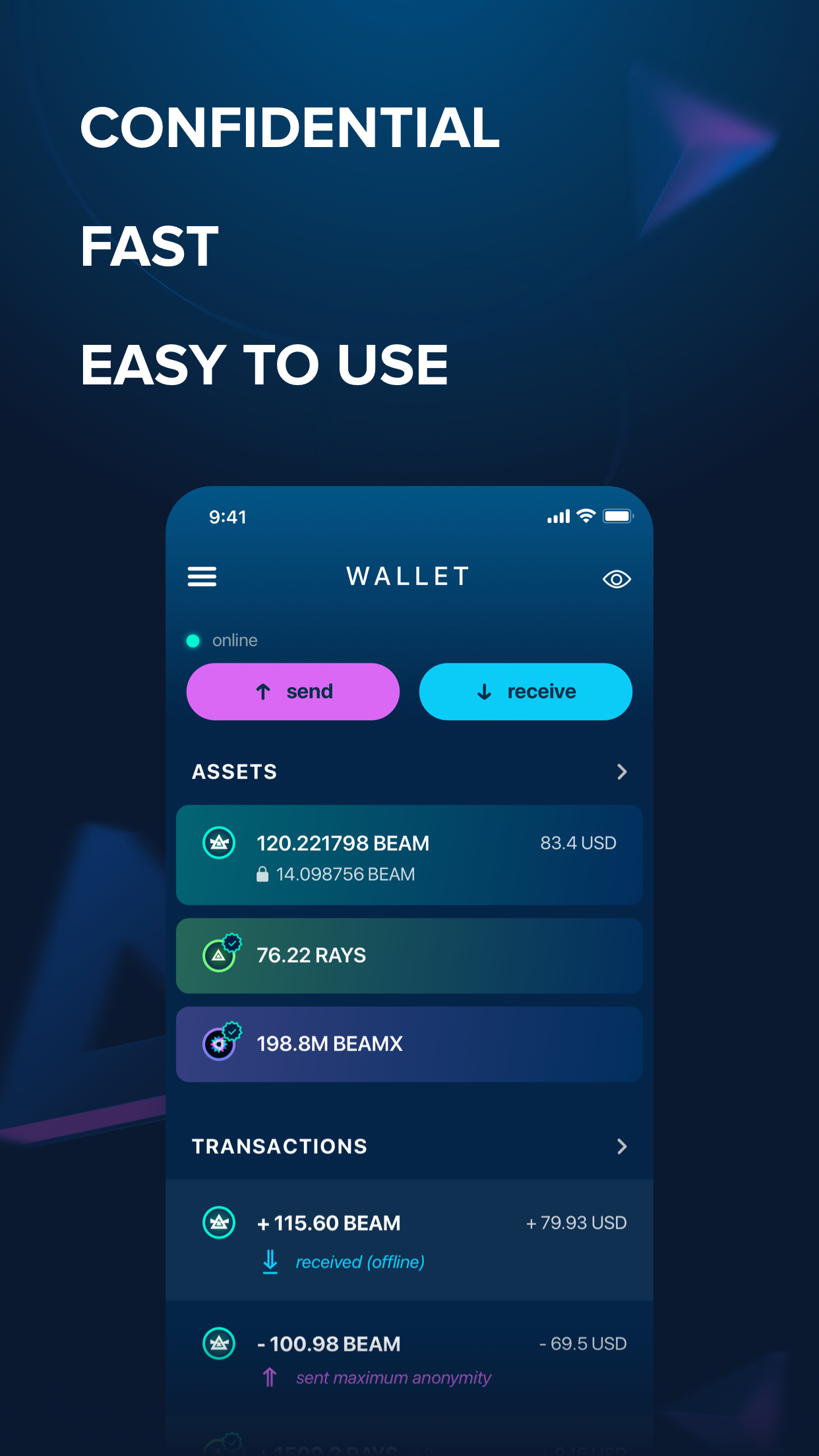 Beam Privacy Wallet