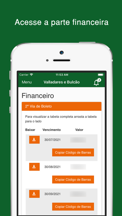 Colégio Valladares e Bulcão Screenshot