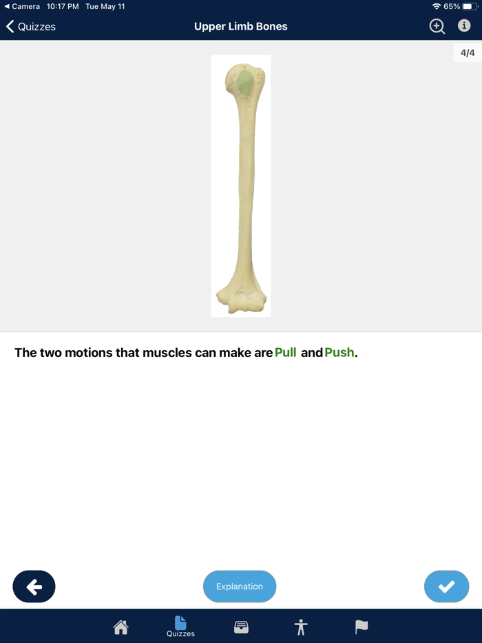 UBC Human Anatomy Teaching App