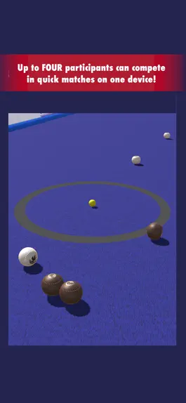 Game screenshot Bowls Pro mod apk