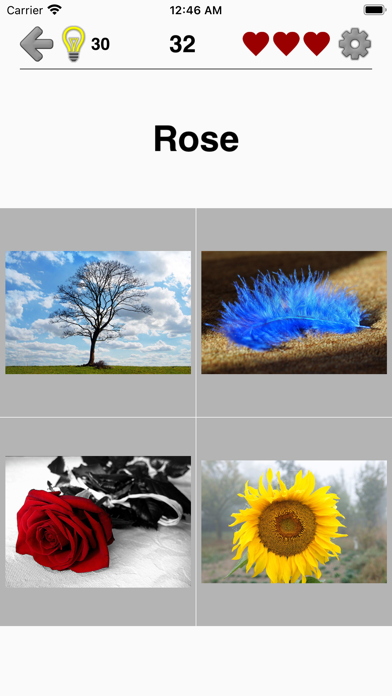 Guess Pictures and Words Quiz Screenshot