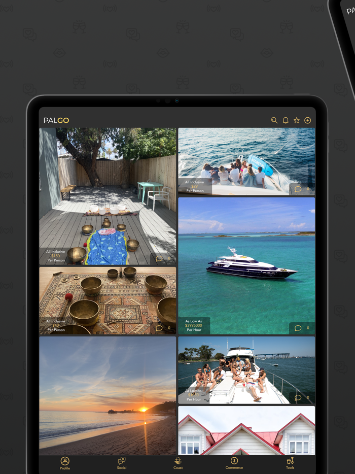 PalGo - Geniuses and Socials