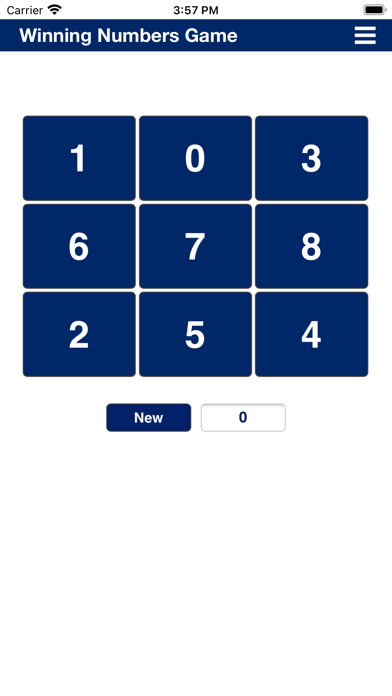 Winning Numbers Game Screenshot