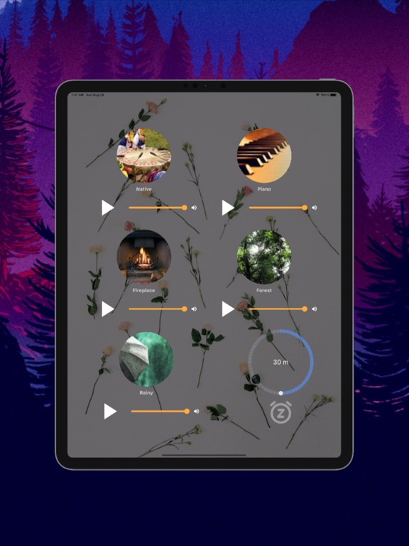 Screenshot #5 pour Sons de la nature: méditation