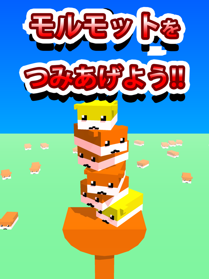 モルモット タワー  バランス の 限界 に チャレンジ